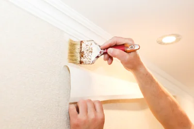 Pose de papier peint à la Vineuse sur Fregande — revêtements muraux et toiles de verre